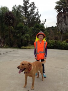 a girl in orange vest with a dog