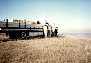 a truck and a view